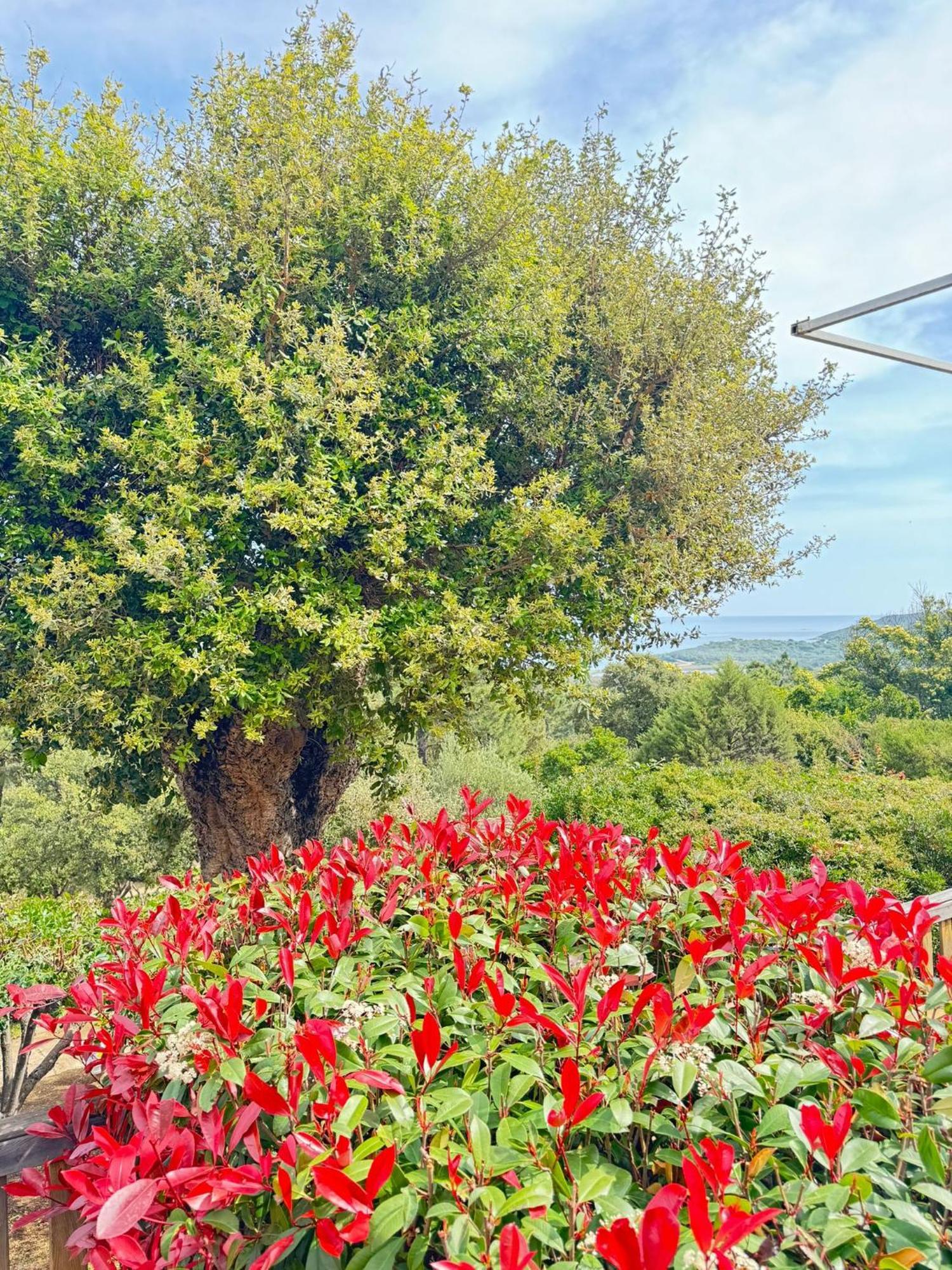 U Pirellu Vakantiepark Porto-Vecchio (Corsica)